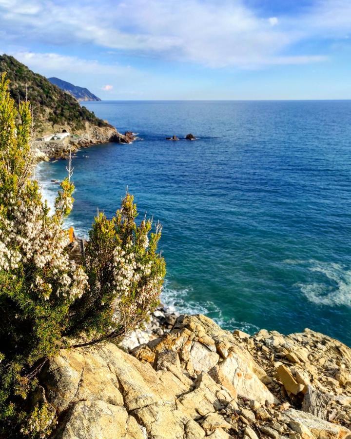 A Casa Di Oscar Διαμέρισμα Deiva Marina Εξωτερικό φωτογραφία